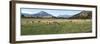 Sheep grazing in field, Riverrun Lodge, Wanaka, Queenstown-Lakes District, Otago Region, South I...-null-Framed Photographic Print