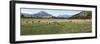 Sheep grazing in field, Riverrun Lodge, Wanaka, Queenstown-Lakes District, Otago Region, South I...-null-Framed Photographic Print