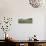 Sheep grazing in field, Riverrun Lodge, Wanaka, Queenstown-Lakes District, Otago Region, South I...-null-Stretched Canvas displayed on a wall