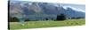 Sheep grazing in pasture near Blanket Bay Lodge, Lake Wakatipu, New Zealand-null-Stretched Canvas