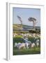 Sheep Grazing in the Green Fields of the Catlins, South Island, New Zealand, Pacific-Michael-Framed Photographic Print