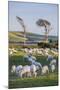 Sheep Grazing in the Green Fields of the Catlins, South Island, New Zealand, Pacific-Michael-Mounted Photographic Print