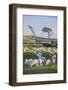 Sheep Grazing in the Green Fields of the Catlins, South Island, New Zealand, Pacific-Michael-Framed Photographic Print