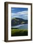 Sheep grazing near Allans Beach, Dunedin, Otago, New Zealand.-David Wall-Framed Photographic Print