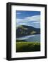 Sheep grazing near Allans Beach, Dunedin, Otago, New Zealand.-David Wall-Framed Photographic Print