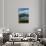 Sheep grazing near Allans Beach, Dunedin, Otago, New Zealand.-David Wall-Stretched Canvas displayed on a wall