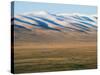 Sheep Grazing on the Plains in Bayanbulak, Xinjiang Province, China, Asia-Christian Kober-Stretched Canvas