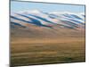 Sheep Grazing on the Plains in Bayanbulak, Xinjiang Province, China, Asia-Christian Kober-Mounted Photographic Print