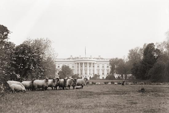 Photo, , large