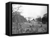 Sheep Grazing on White House Lawn-null-Framed Stretched Canvas