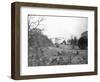 Sheep Grazing on White House Lawn-null-Framed Photographic Print