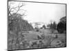 Sheep Grazing on White House Lawn-null-Mounted Photographic Print