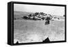 Sheep Grazing Outside Samarra, Mesopotamia, 1918-null-Framed Stretched Canvas