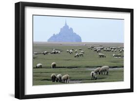 Sheep Grazing-David Nunuk-Framed Photographic Print