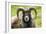 Sheep Head of North Ronaldsay Ram-null-Framed Photographic Print