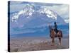Sheep Herd and Gaucho, Patagonia, Argentina-Art Wolfe-Stretched Canvas