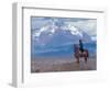 Sheep Herd and Gaucho, Patagonia, Argentina-Art Wolfe-Framed Photographic Print