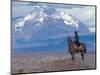 Sheep Herd and Gaucho, Patagonia, Argentina-Art Wolfe-Mounted Photographic Print