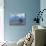 Sheep Herd and Gaucho, Patagonia, Argentina-Art Wolfe-Photographic Print displayed on a wall