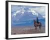 Sheep Herd and Gaucho, Patagonia, Argentina-Art Wolfe-Framed Photographic Print