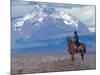 Sheep Herd and Gaucho, Patagonia, Argentina-Art Wolfe-Mounted Photographic Print