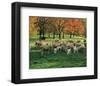 Sheep Herd-null-Framed Art Print