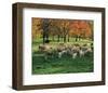 Sheep Herd-null-Framed Art Print