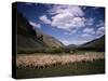 Sheep Herder Tending His Flock in the Sawtooth Mountains-Eliot Elisofon-Stretched Canvas