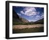 Sheep Herder Tending His Flock in the Sawtooth Mountains-Eliot Elisofon-Framed Photographic Print