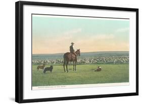 Sheep Herding in the West-null-Framed Art Print
