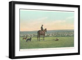 Sheep Herding in the West-null-Framed Art Print