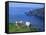 Sheep, Hermaness Nature Reserve, Hermaness, Scotland, United Kingdom-Patrick Dieudonne-Framed Stretched Canvas