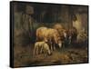 Sheep in a Barn-Jean-Baptiste-Camille Corot-Framed Stretched Canvas