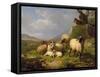 Sheep in a Landscape, 1863-Eugene Joseph Verboeckhoven-Framed Stretched Canvas