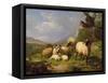 Sheep in a Landscape, 1863-Eugene Joseph Verboeckhoven-Framed Stretched Canvas