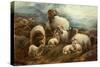 Sheep in a Landscape, 1894-Robert Watson-Stretched Canvas