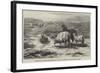 Sheep in a Landscape, Brittany-Rosa Bonheur-Framed Giclee Print