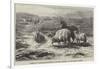 Sheep in a Landscape, Brittany-Rosa Bonheur-Framed Giclee Print