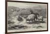 Sheep in a Landscape, Brittany-Rosa Bonheur-Framed Giclee Print