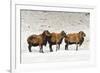 Sheep in A Line.-gjphotography-Framed Photographic Print