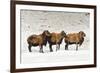 Sheep in A Line.-gjphotography-Framed Photographic Print