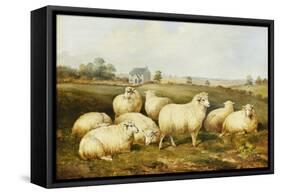 Sheep in a Meadow-James Charles Morris-Framed Stretched Canvas