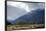 Sheep in Dart River Valley, Glenorchy, Queenstown, South Island, New Zealand, Pacific-Nick-Framed Photographic Print