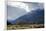 Sheep in Dart River Valley, Glenorchy, Queenstown, South Island, New Zealand, Pacific-Nick-Framed Photographic Print