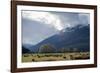 Sheep in Dart River Valley, Glenorchy, Queenstown, South Island, New Zealand, Pacific-Nick-Framed Photographic Print