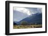 Sheep in Dart River Valley, Glenorchy, Queenstown, South Island, New Zealand, Pacific-Nick-Framed Photographic Print