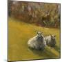 Sheep in Field V-Marilyn Wendling-Mounted Art Print