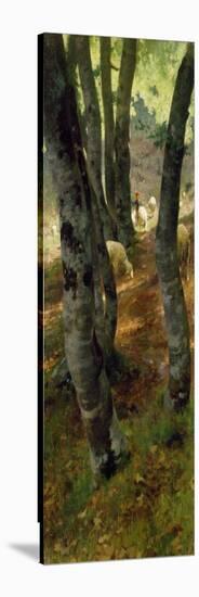 Sheep in Forest, Painting by Stefano Bruzzi (1835-1911), Italy, 19th Century-Stefano Bruzzi-Stretched Canvas