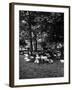 Sheep in Hyde Park 1933-null-Framed Photographic Print