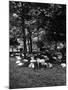 Sheep in Hyde Park 1933-null-Mounted Photographic Print